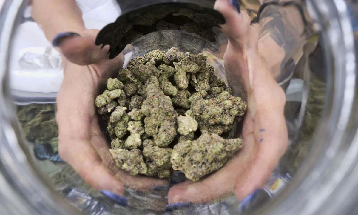 Mail Order Marijuana Shipped Anywhere in the USA – Buy marijuana Online