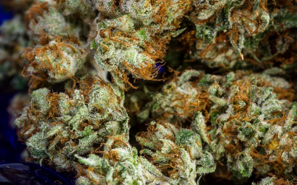 Experience Top-Tier CBD Kush: Our Commitment to Client Satisfaction