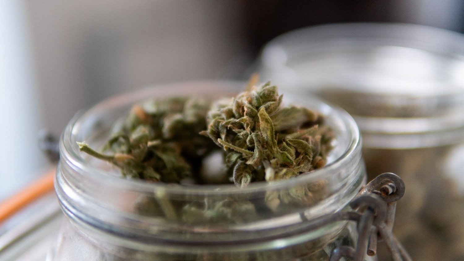 Why Euro Weed Clinic Is the Fastest-Growing Legal Marijuana Dispensary EU